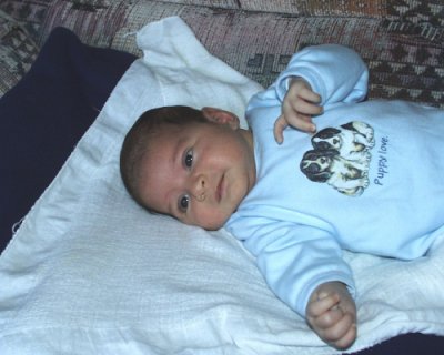 gal10.jpg (26642 bytes)